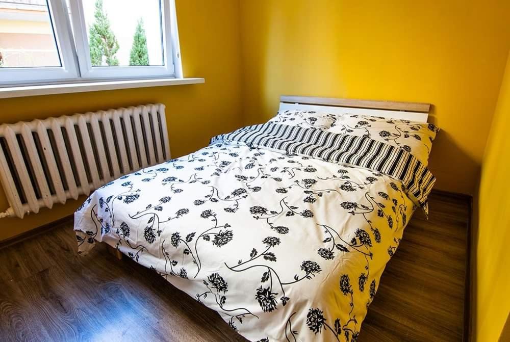 Apartament Sloneczny W Centrum 吉日茨科 外观 照片